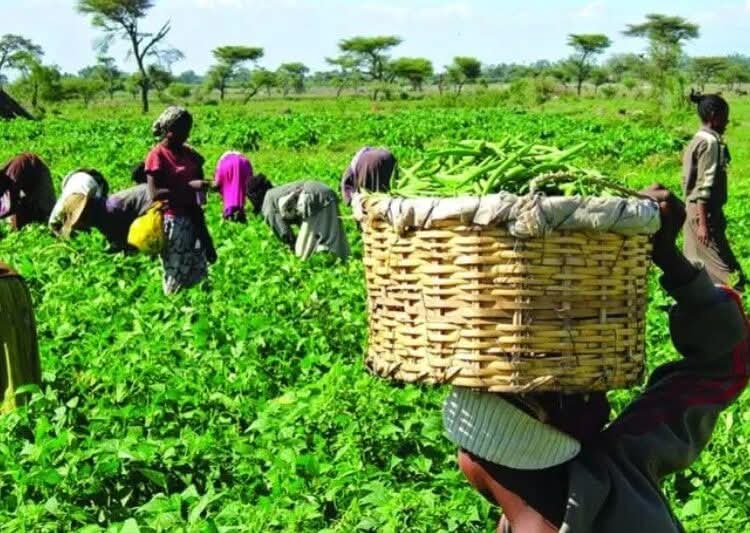 Farmers Seek Reduction in Prices of Agricultural Inputs